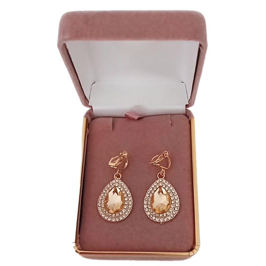 Champagne Gold Clip On Earrings(2)