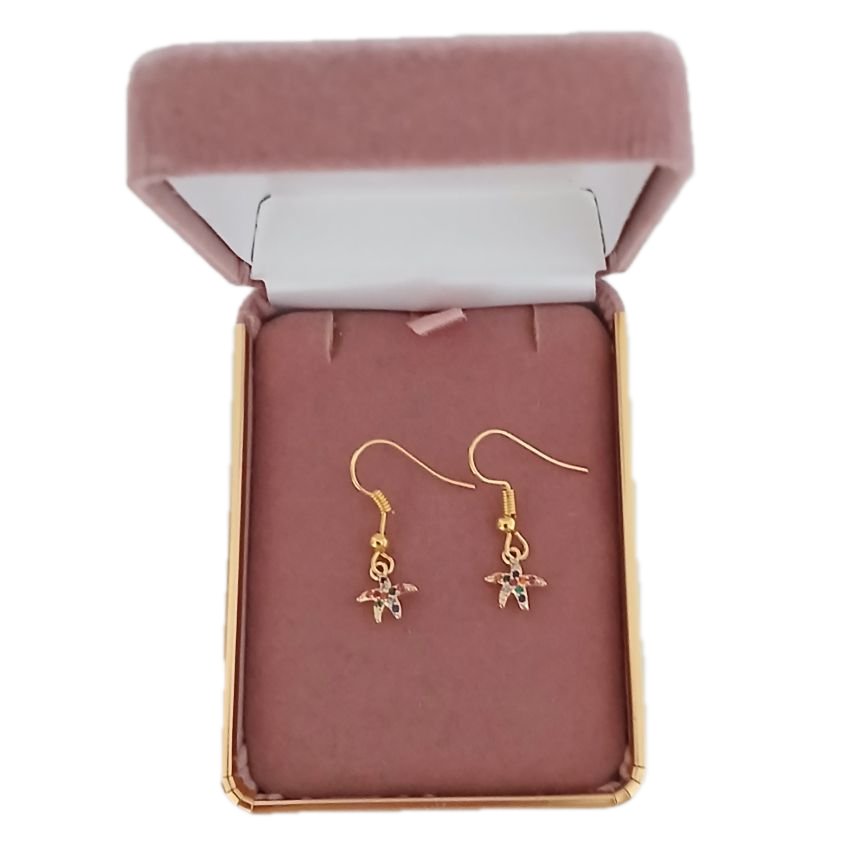 Coloured Star Dangly Fashion Earrings(2)