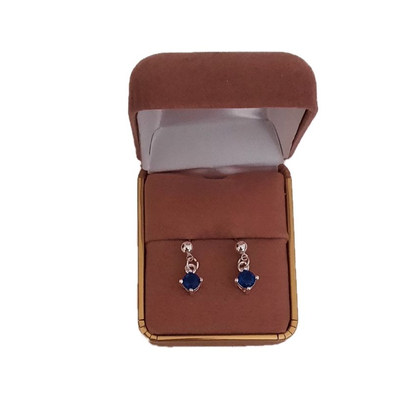 Dangly Blue Stone Girls Silver Earrings(2)