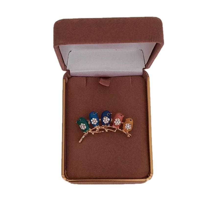 Five Coloured Birds Diamante Brooch(2)