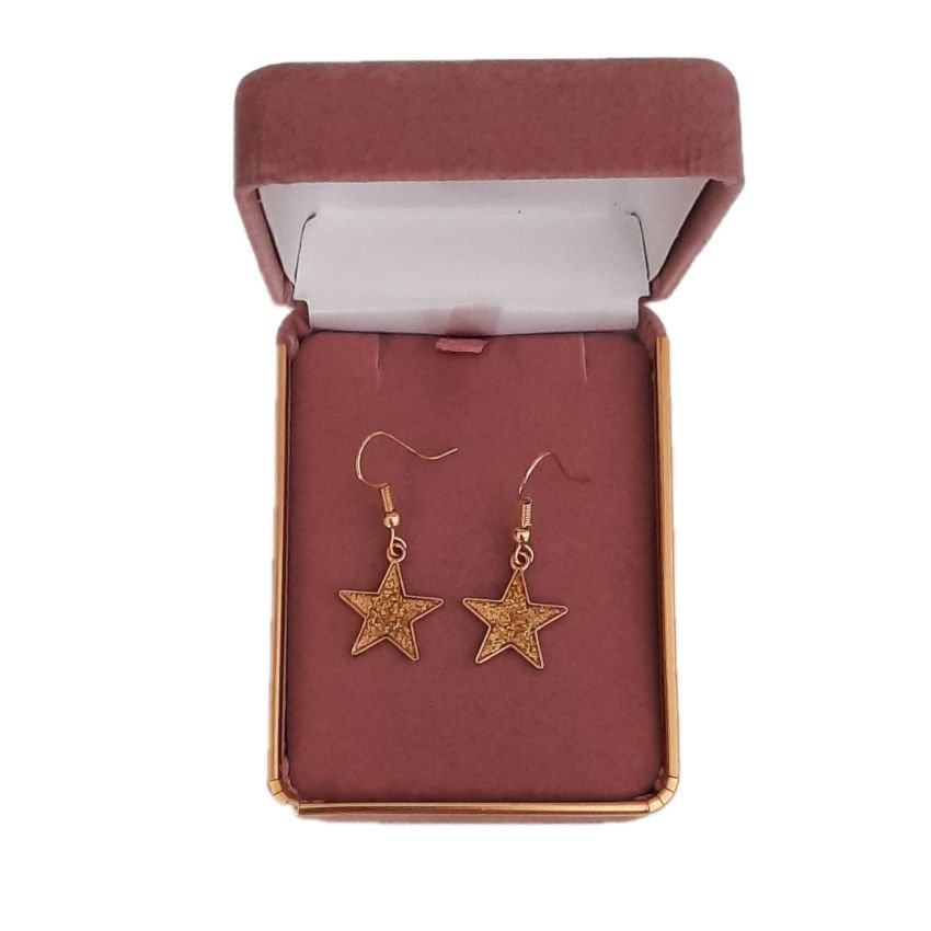 Gold Star Dangly Fashion Earrings(2)