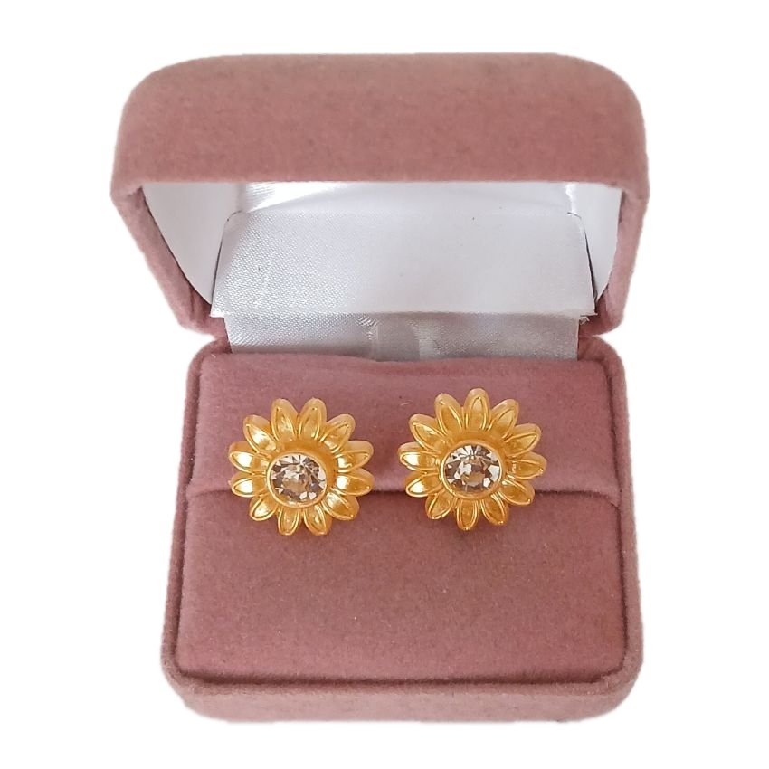 Light Plastic Golden Clip On Earrings(2)