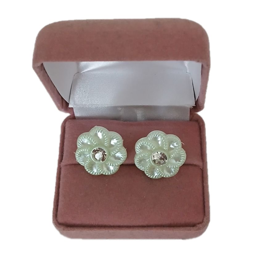 Light Plastic Mint Green Clip On Earrings(2)