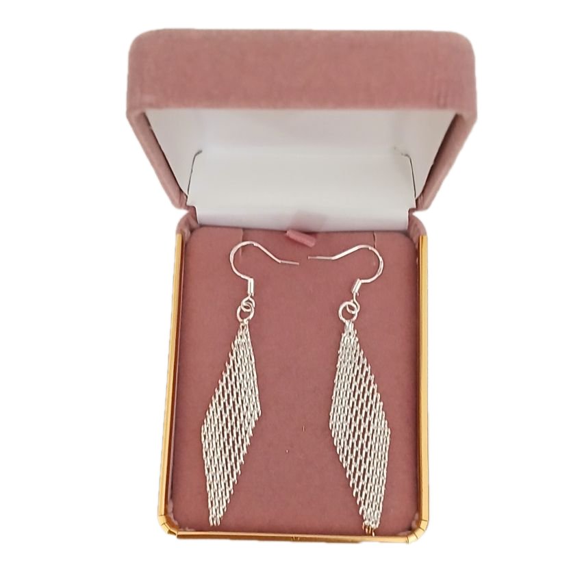Mesh Chain Silver Dangly Earrings(2)