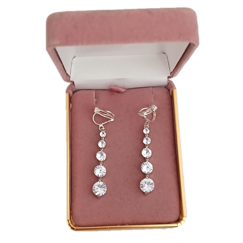 Silver Multi Stone Drop Clip On Earrings(2)