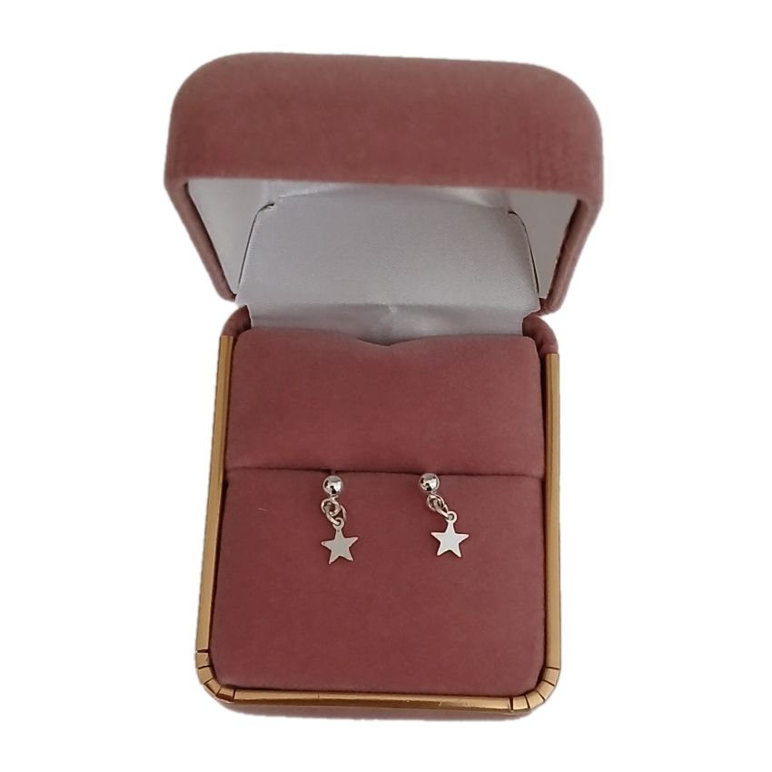 Sterling Silver Star Tiny Earrings(2)