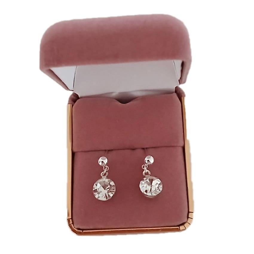 Sterling Silver Stem Solitaire Earrings(2)