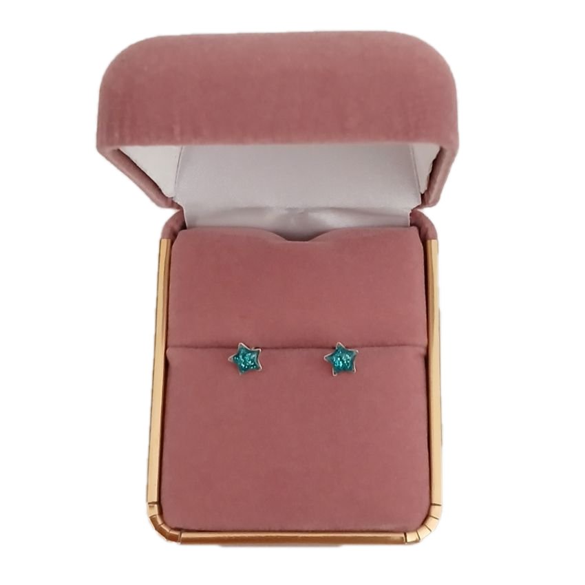 Sterling Silver Blue Star Earrings(2)