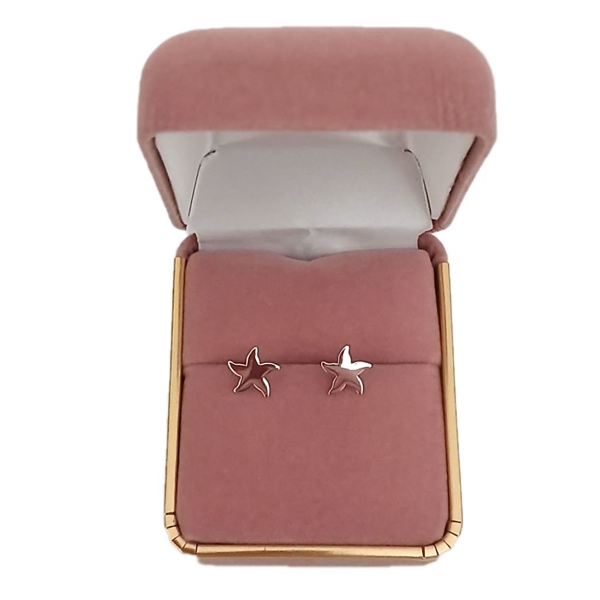 Sterling Silver Starfish Small Stud Earrings(2)