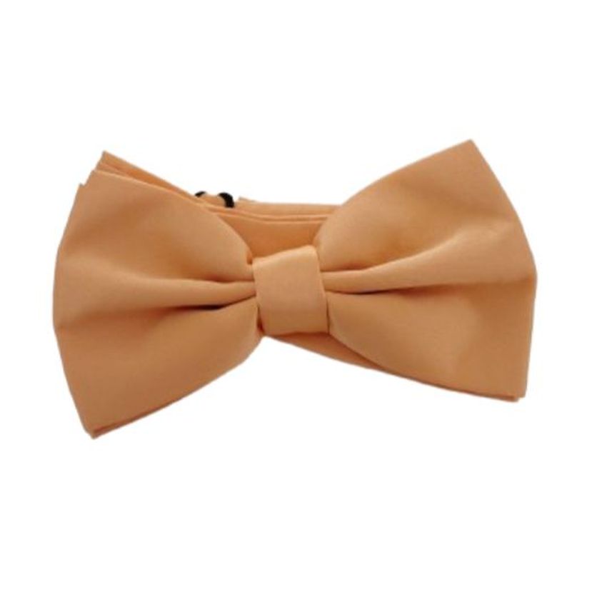 Tangerine Peach Mans Bow Tie