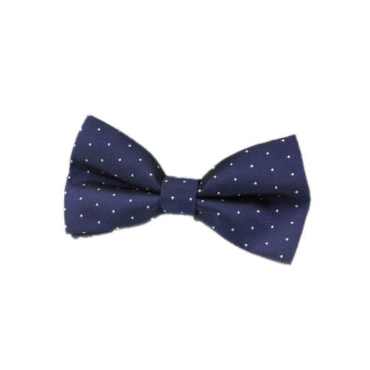 Blue And White Boys Dicky Bow