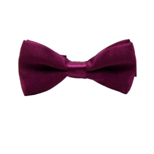 Boys Grape Coloured Adjustable Bow Tie