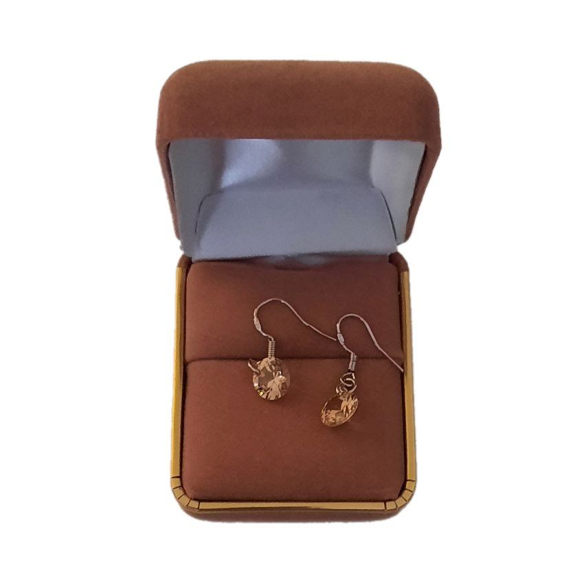 Champagne Coloured Small Drop Silver Hook Earrings(2)