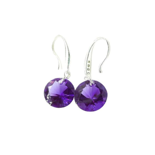 Hook Stem Purple Round Stone Drop Earrings