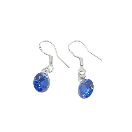 Small Dark Blue Drop Earrings With a Hook Drop