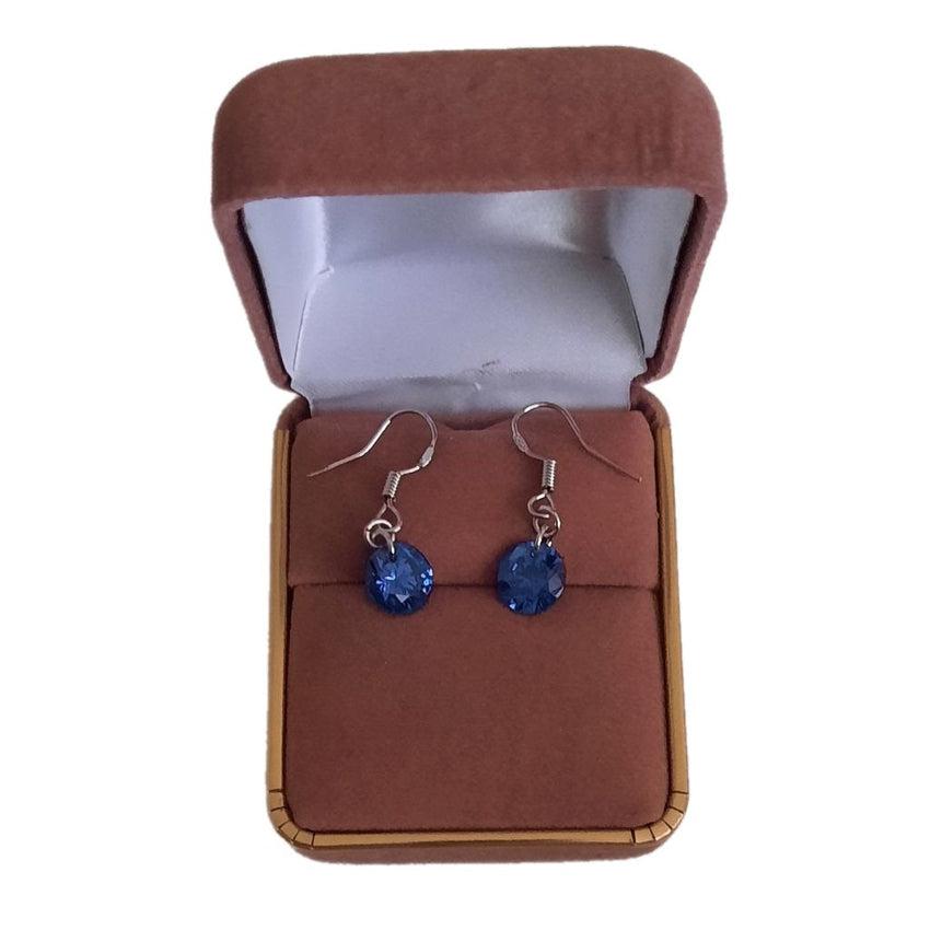 Small Dark Blue Drop Earrings With a Hook Drop