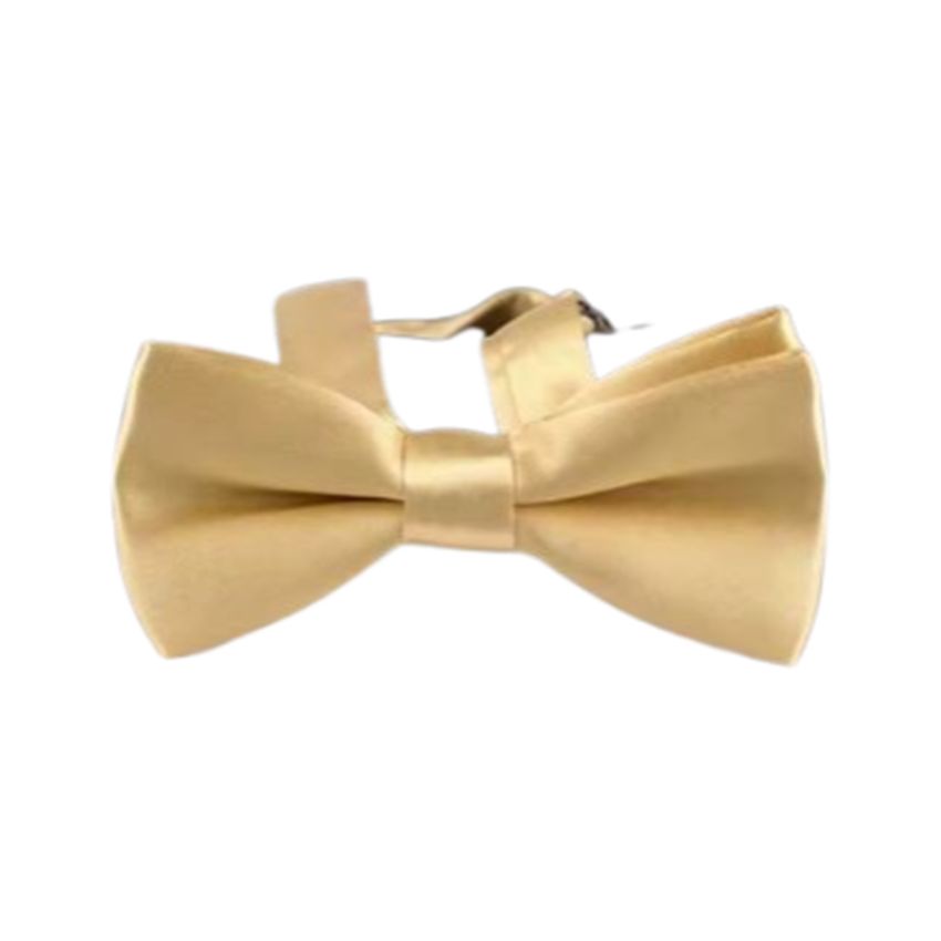 Boys Adjustable Gold Dickie Bow