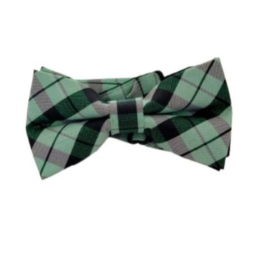 Boys Slight Sparkle Green Dickie Bow Tie