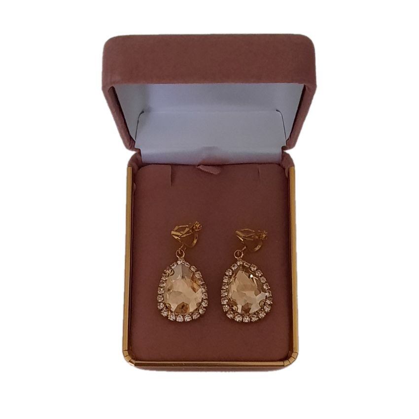 Champagne Gold Clip On Earrings(2)