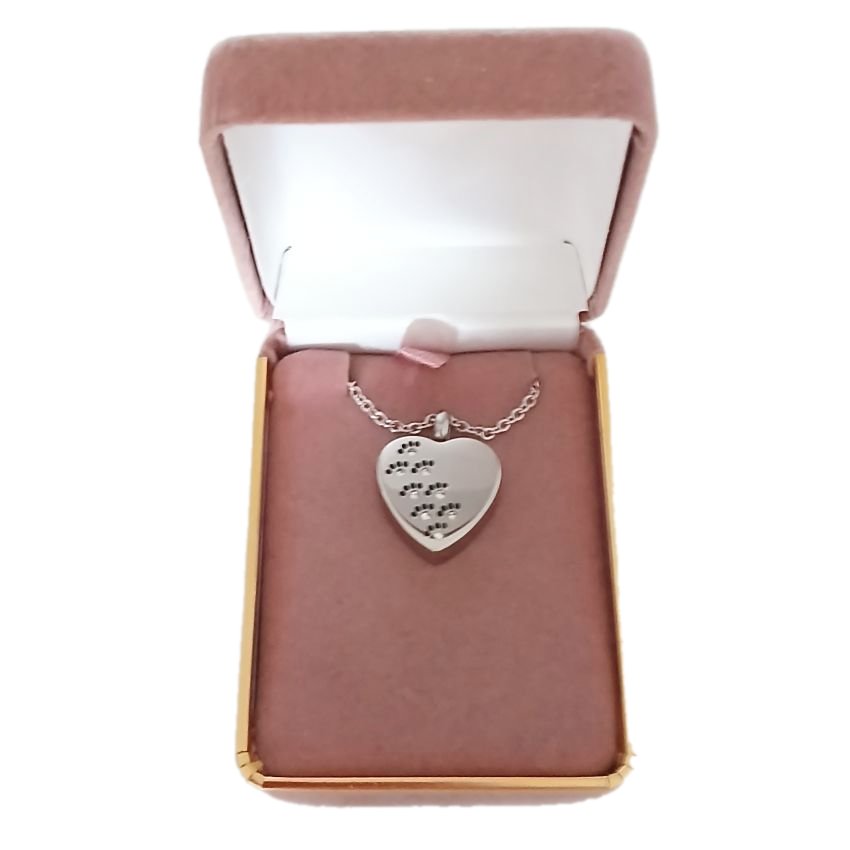 Cremation Ashes Locket For Pets