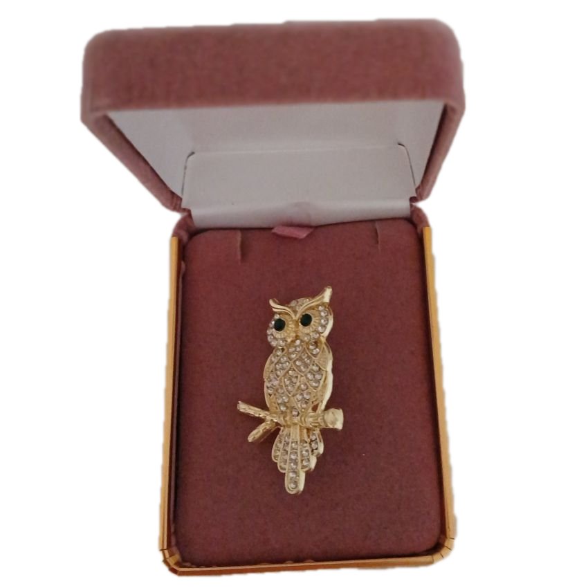 Diamante Stone Ladies Owl Brooch(2)