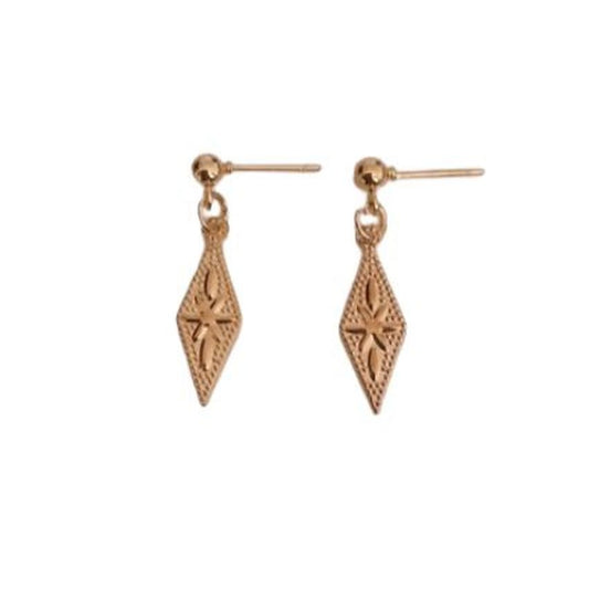 Fashion Jewellery Gold Drop Earrings