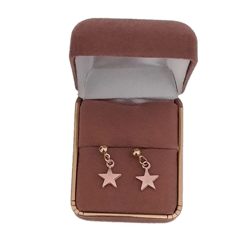 Fashion Jewellery Rose Gold Star Earrings(2)