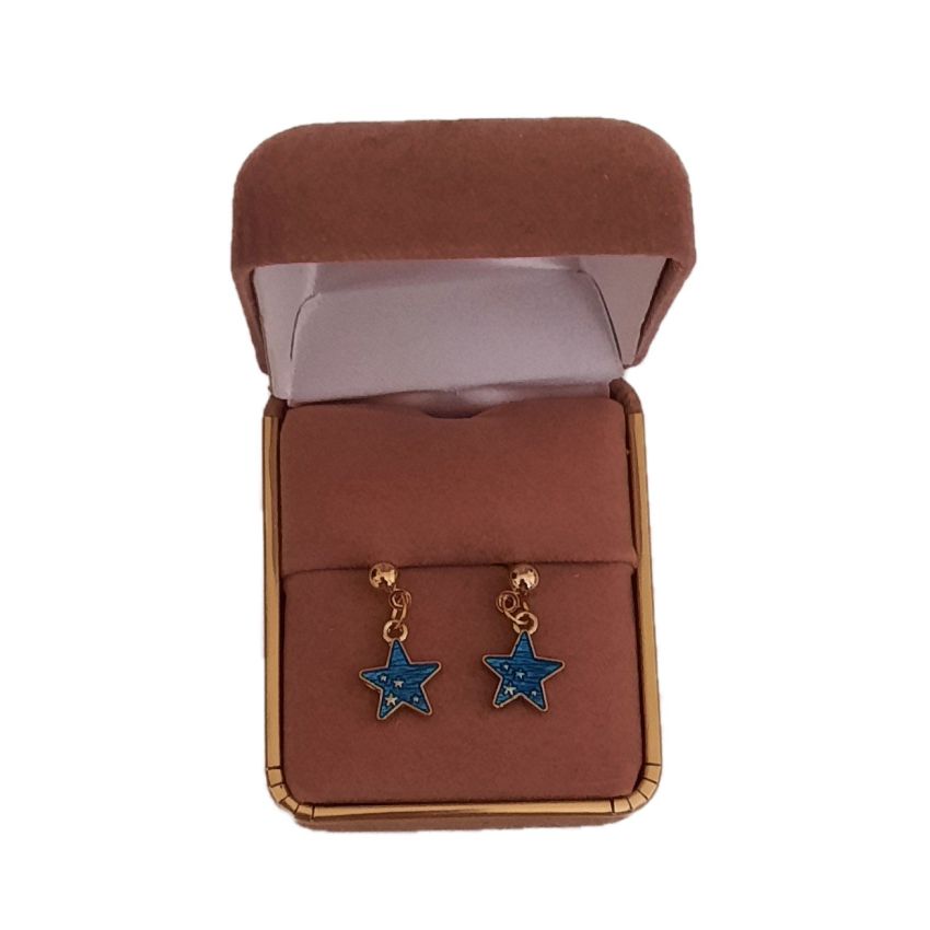 Fashion Jewellery Star Drop Earrings(2)