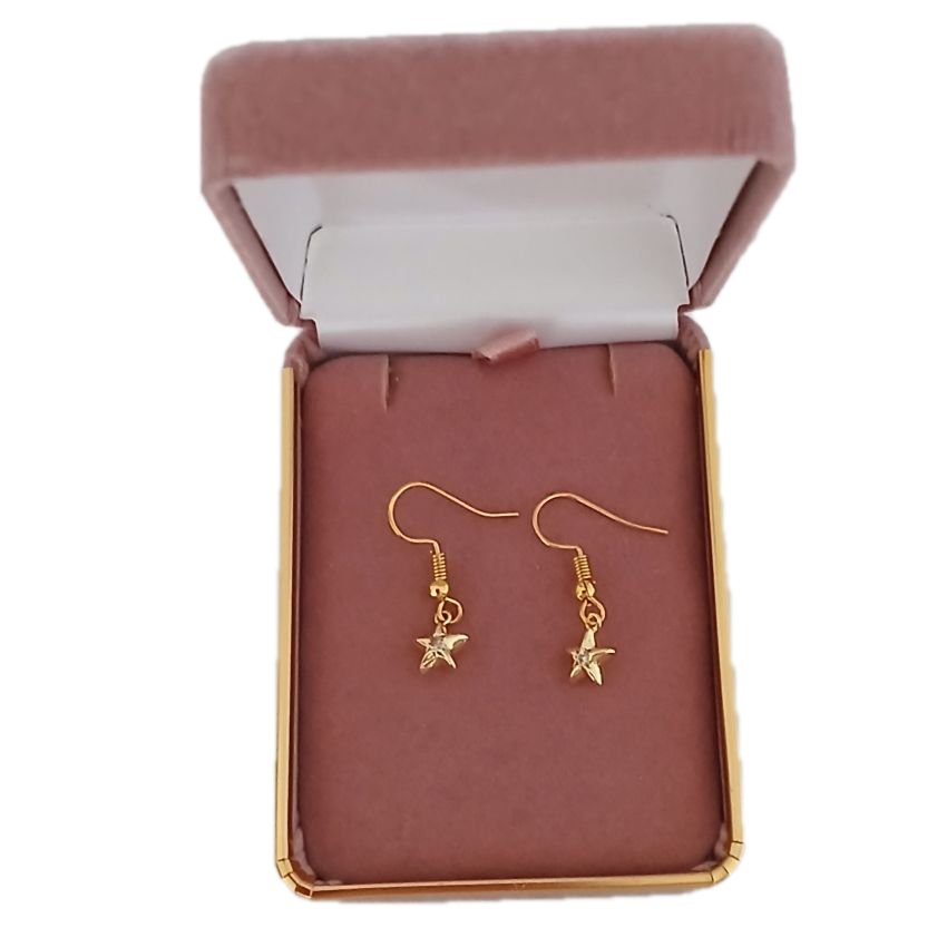 Gold Star Dangly Fashion Earrings(2)