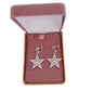 Large SilverStar Clip  On Earrings(2)