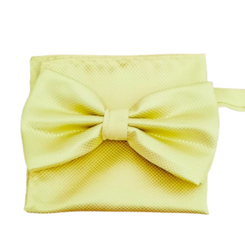 Lemon Yellow Bow Tie And Hanky Set