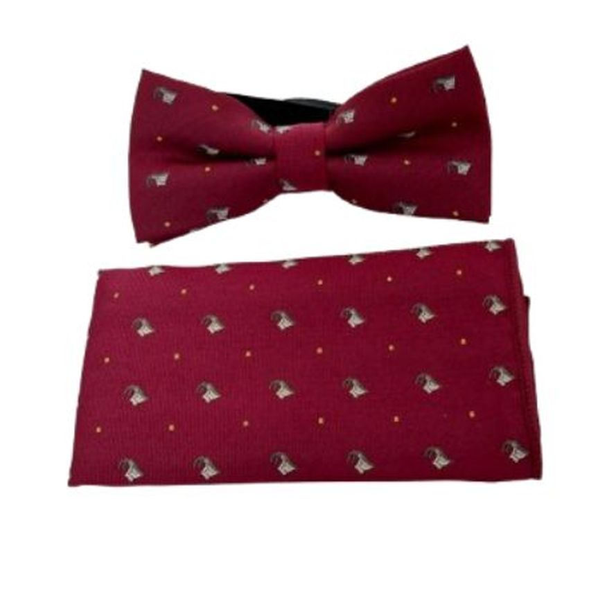 Matching Patterned Boys Dicky Bow And Hanky Set