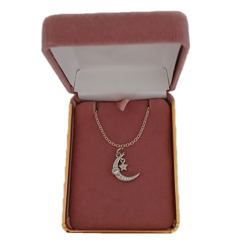 Moon And Star Silver Necklace(2)