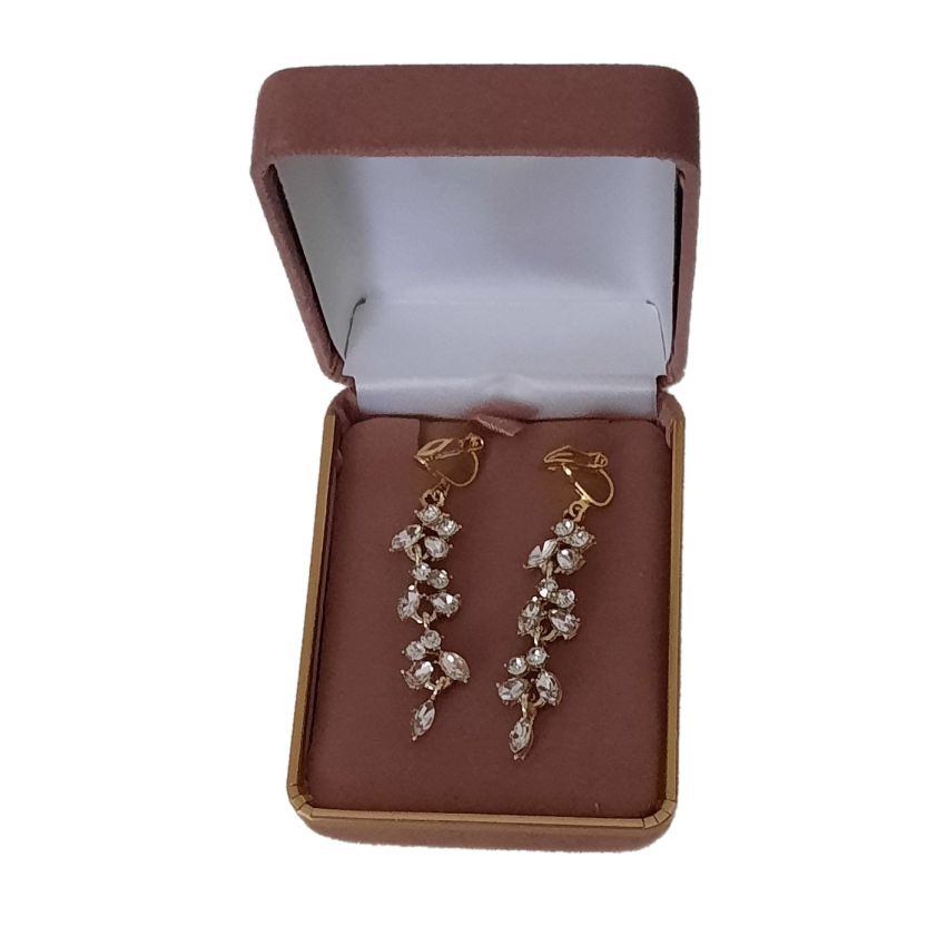 Multi Stone Gold Drop Clip On Earrings(2)