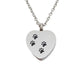 Pet Memorial Cremation Ashes Locket