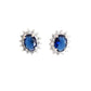 Small Blue Cubic Zirconia Silver Earrings