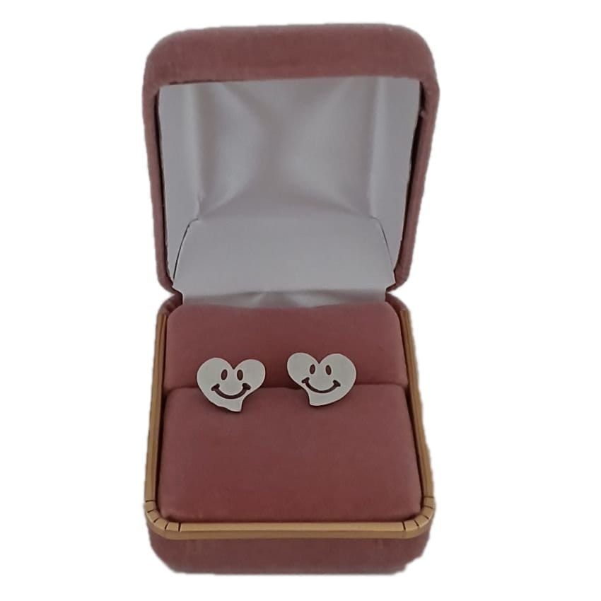 Stainless Steel Heart Earrings(2)