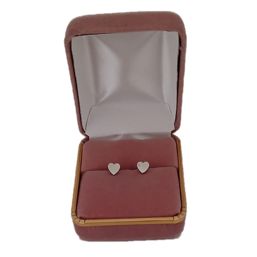 Stainless Steel Heart Earrings(2)