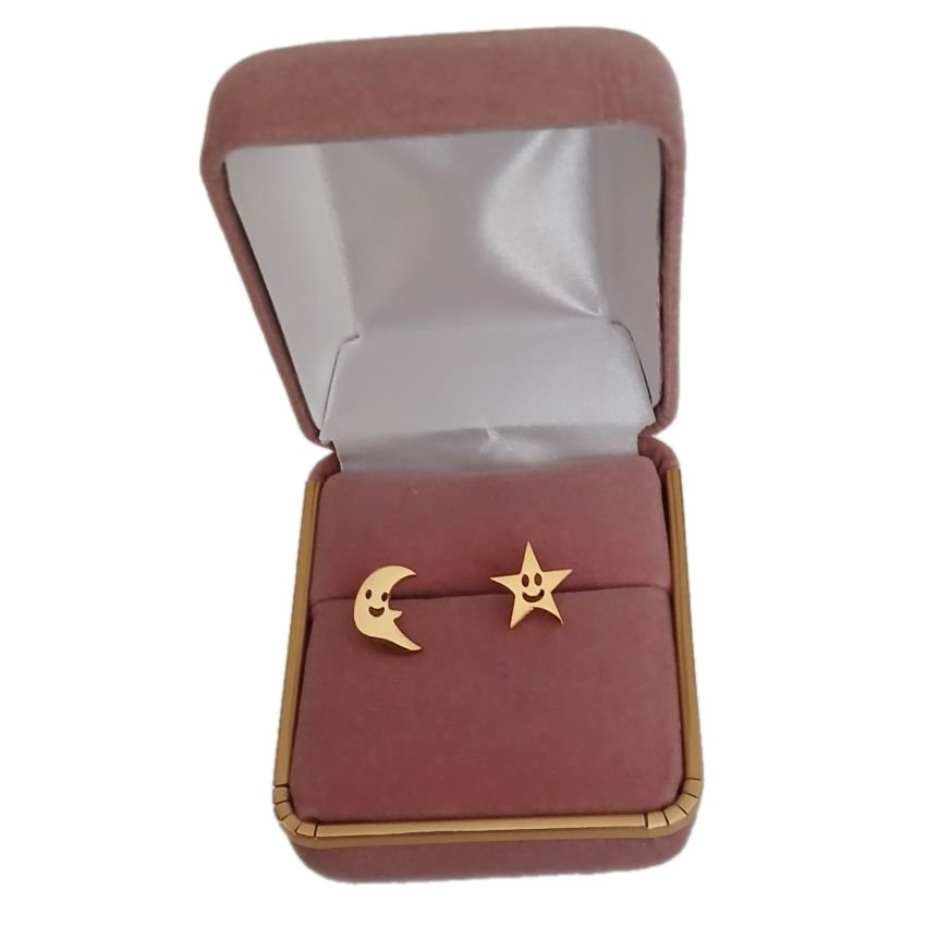 Stainless Steel Moon And Star Star Earrings(2)