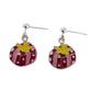 Sterling Silver Drop Present Earrings
