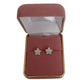 Sterling Silver Striped Star Earrings(2)