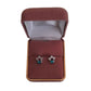 Blue Cubic Zirconia Star Silver Earrings
