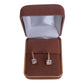 Cubic Zirconia Silver Rose Gold Earrings