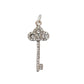 Eye Catching Rhinestone Silver Plated Key Necklace