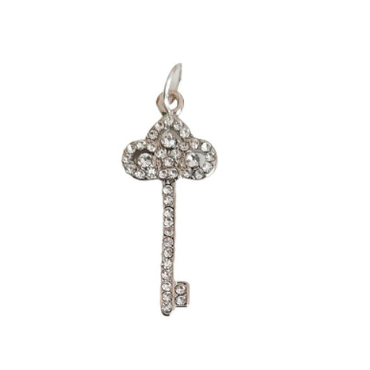 Eye Catching Rhinestone Silver Plated Key Necklace