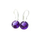 Hook Stem Purple Round Stone Drop Earrings