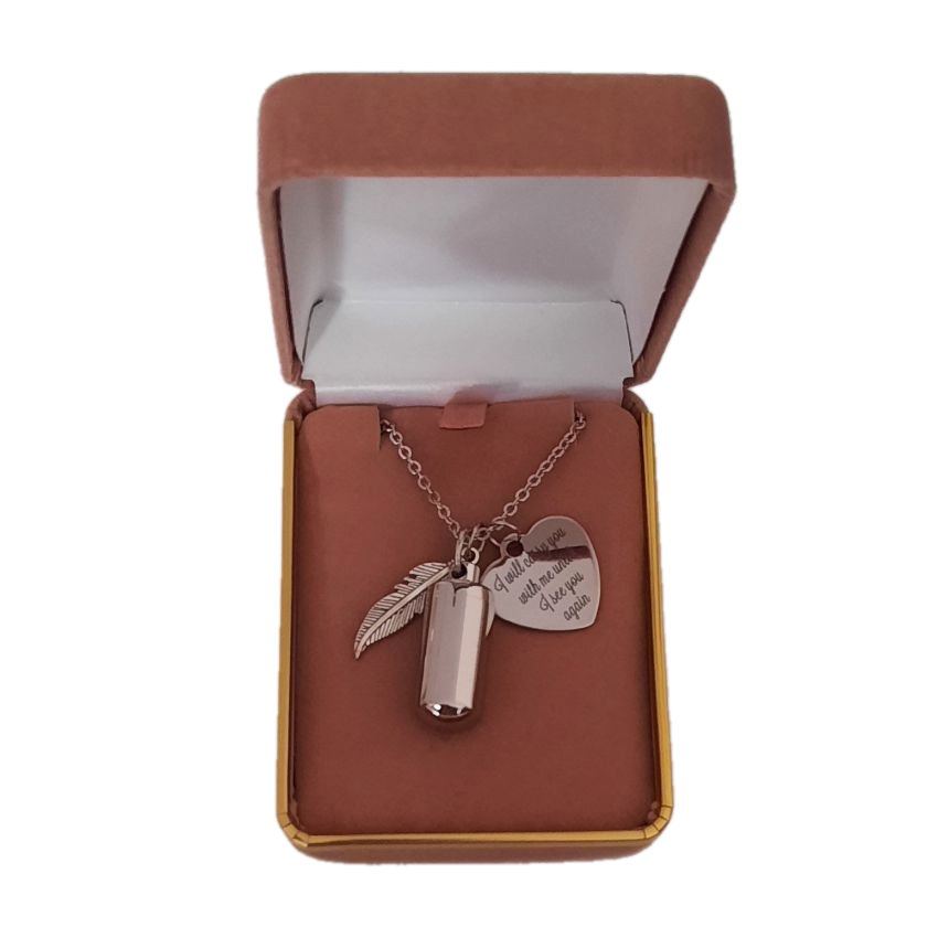 I Will Carry You With Me Cremation Ashes Necklace(2)