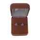Purple And Blue Star Sterling Silver Earrings(2)