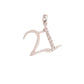 Sterling Silver Pave Set Cubic Zirconia 21st Birthday Necklace